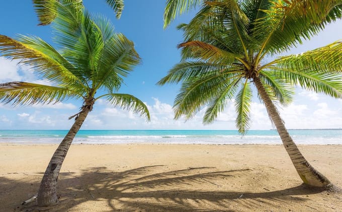 Fotobehang Caribbean Days Ii - Meerkleurig - 2,80m X 450cm