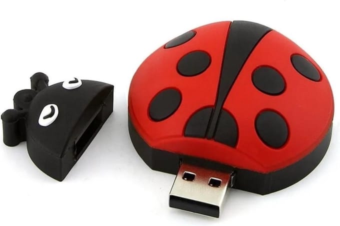 Lieveheersbeestje usb stick 128GB 3.0 - dieren