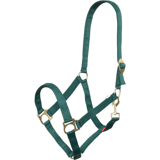 Imperial Riding Halster Economic - Forest Green - Cob