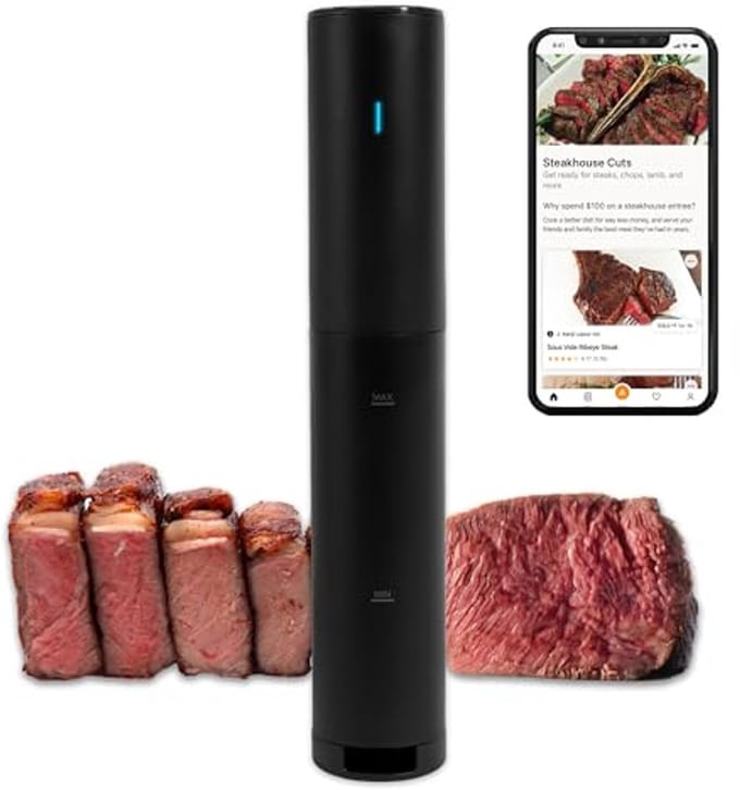 Sous Vide Koker Mini 850 Watt - Precisie Koken