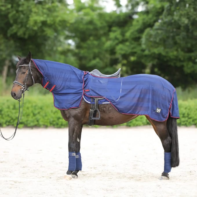 Anti-fly deken voor trainingspaard York Lyra