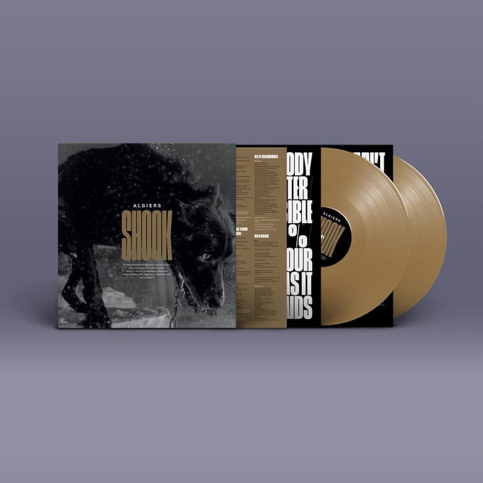 Algiers - Shook (Gold 2LP)