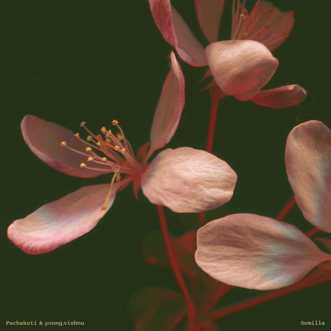 Pachakuti & Young.Vishnu - Semilla (LP)