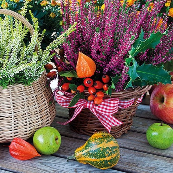 Ambiente - Heather Baskets - Papieren lunch servetten - 2 pakken - 33x33cm - Herfst