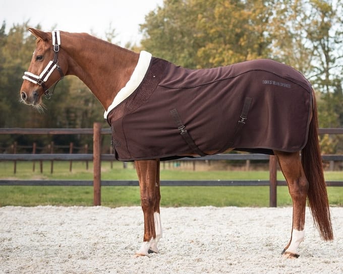 QHP Showdeken Julin - maat 155/205 - coffee