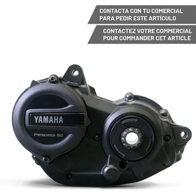 Elektromotor Yamaha PW-S2