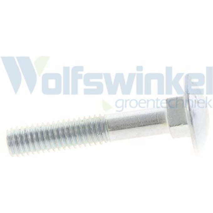 Slotbouten Verzinkt   6X 35     Din 603/555