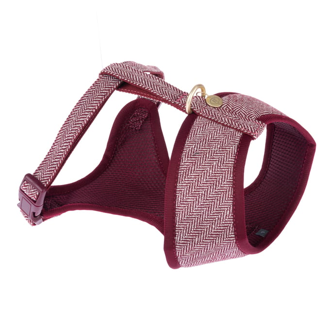 Nomad Tales Calma Tuig, Burgundy - Maat S: 32 - 46 cm Borstomvang