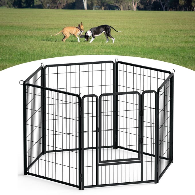 ACXIN Hondenren - Inklapbaar - Met deur - 65×80 cm - 6 panelen - Binnen - Buiten