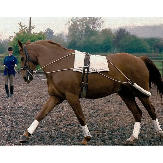 Elastische teugels voor paardenoefeningen Tattini