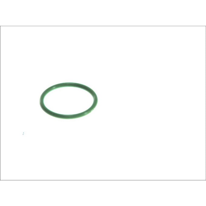 Rubber O-ringen DT Spare Parts 1.24311