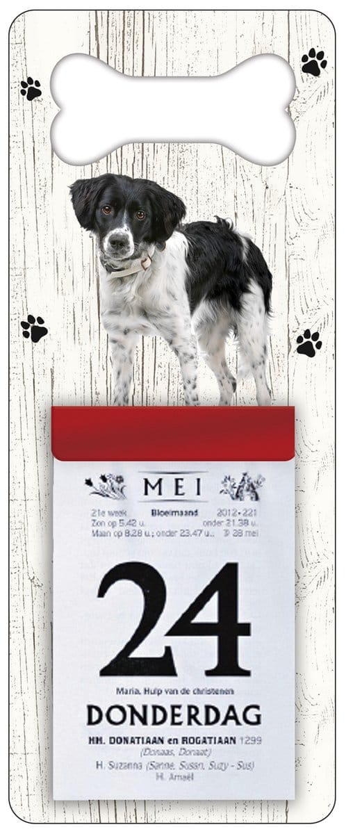 Scheurkalender 2027 Hond: Friese Stabij