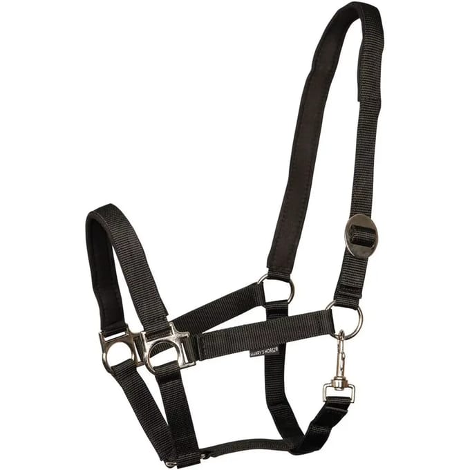 Gewatteerd paardenhalster Harry's Horse