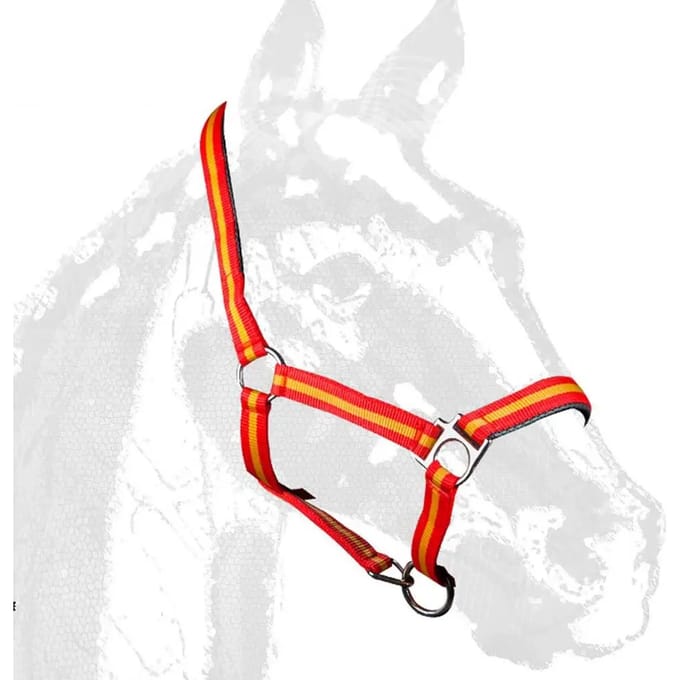 Halster voor paarden Zaldi Castecus