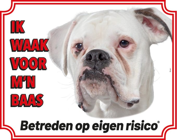 Boxer Wit Waakbord