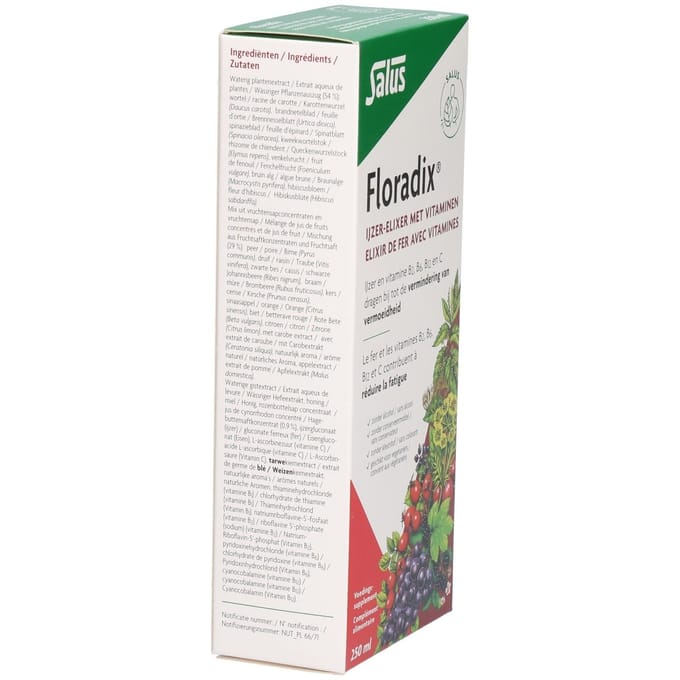Salus Floradix IJzer-elixir – Bij vermoeidheid – Voedingssupplement met ijzer en vitamine B12 – 250 ml