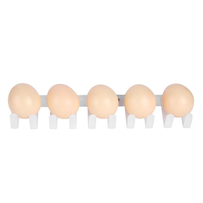 5 Pièces Accessoire Machine Automatique de Ramassage d'Œufs de Poule Équipement Ferme Avicole