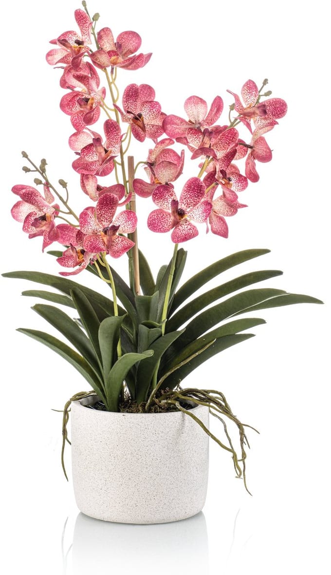 Emerald - Kunstplant Vanda in pot 60cm roze - Kunstplant voor binnen