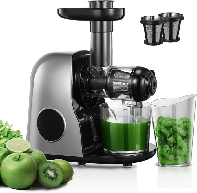 SNJY® Slowjuicer - Juice Maker - Extracteur De Jus - 220 V - Zilvergrijs
