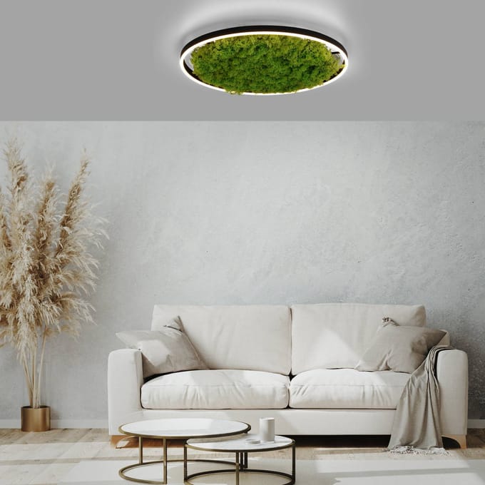 JUST LIGHT. GmbH LED plafondlamp Green Ritus, mos dimbaar Ø58,5cm