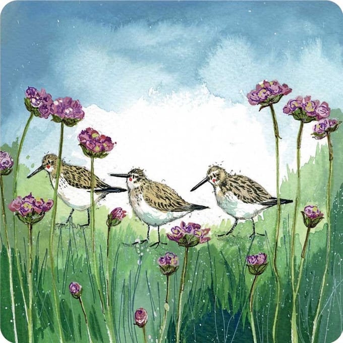 Alex Clark Onderzetters DUNLIN AND THRIFT ~ BLOEMEN EN VOGELS