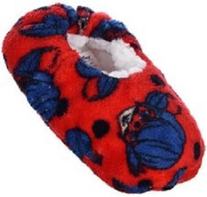 Lady bug sloffen rood maat 25/26