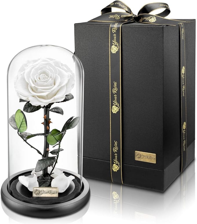 Roos in glas - Gecultiveerde bloem - Bewijs van liefde - Echte premium roos - 19 x 29 cm - Wit