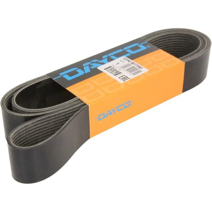 V-riem DAYCO 12PK1877HD