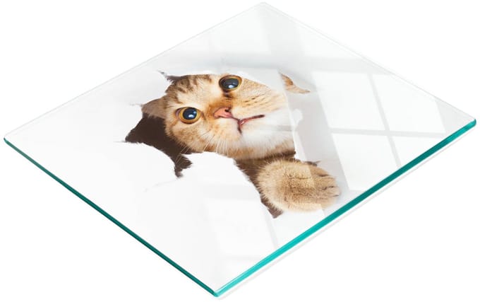 Gehard multifunctioneel decoratief bord van glas met de afbeelding van een kat in een gat, 60x52 cm.