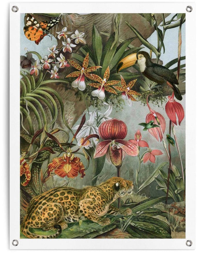 Tuinposter Jungle Bloemen - 80 x 60 - Canvas - REINDERS