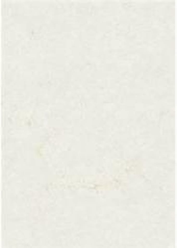 Zanders Olifantshuid Office 88001576 Din A4 110 G/MÂ² 100 Vellen Wit
