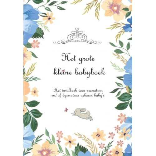 Het Grote Kleine Babyboek - Ilse Veijer-Selles