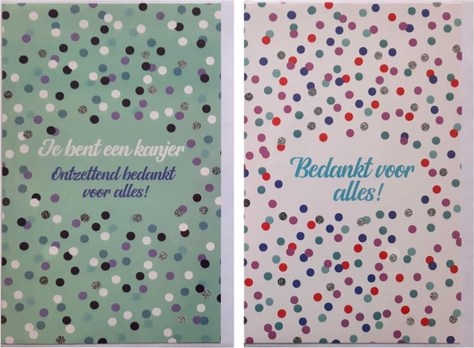 2 Wenskaarten - Bedankt voor alles + Kanjer Bedankt – 12 x 17 cm