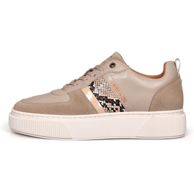 Cycleur de Luxe Panache cdlw212056 oxford tan