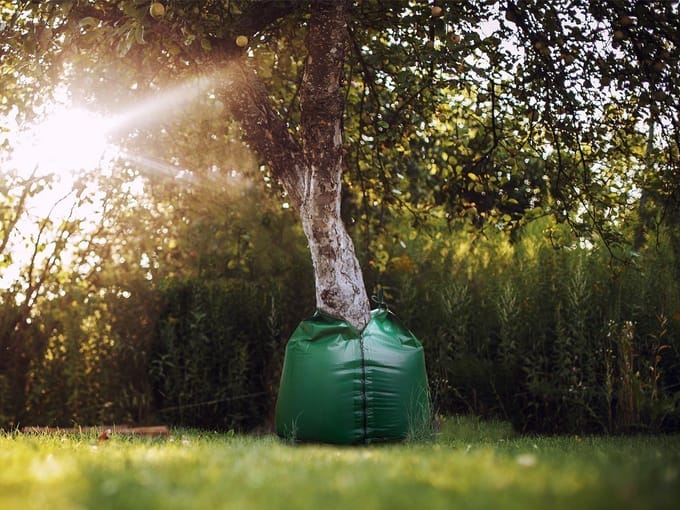 Waterzak voor Boom 56 Liter | Druppelzak met rits