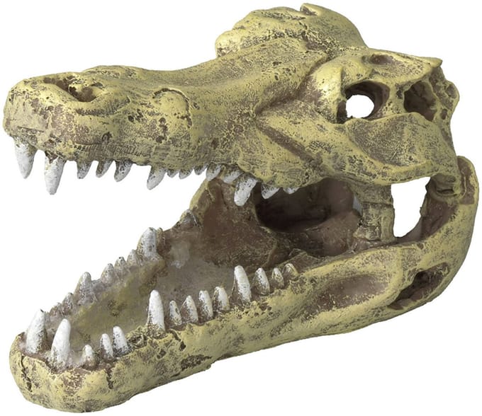 Ebi Decor Schedel Krokodil - Small - 13.5x6.5x7.5 cm