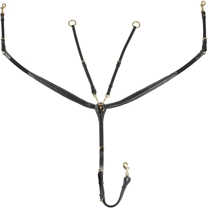 Halsband voor paard van gelooid leer met stalen gespen Equestro New