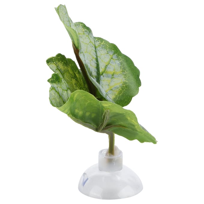 Betta Blad Hangmat Groen Aquarium Ornamentale Betta Rustplaats Paaibed Vissenkom Benodigdheden beige