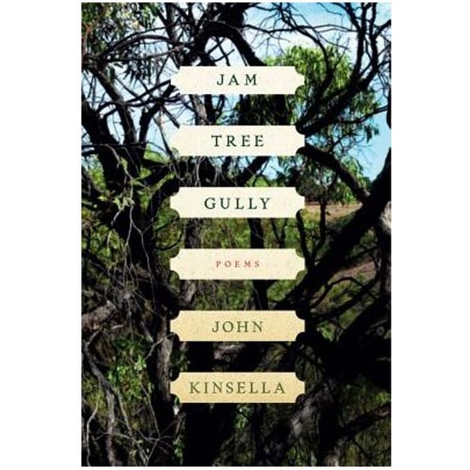 Jam Tree Gully - Kinsella, John (Cambridge Univer