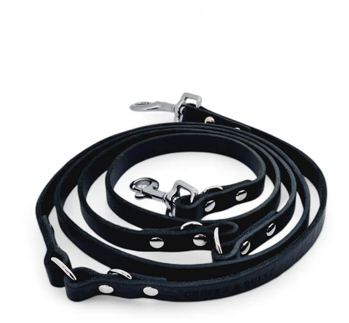 Cooper & Quint Switch Verstelbare Leren Hondenriem - Zwart - 2cm - Zilver