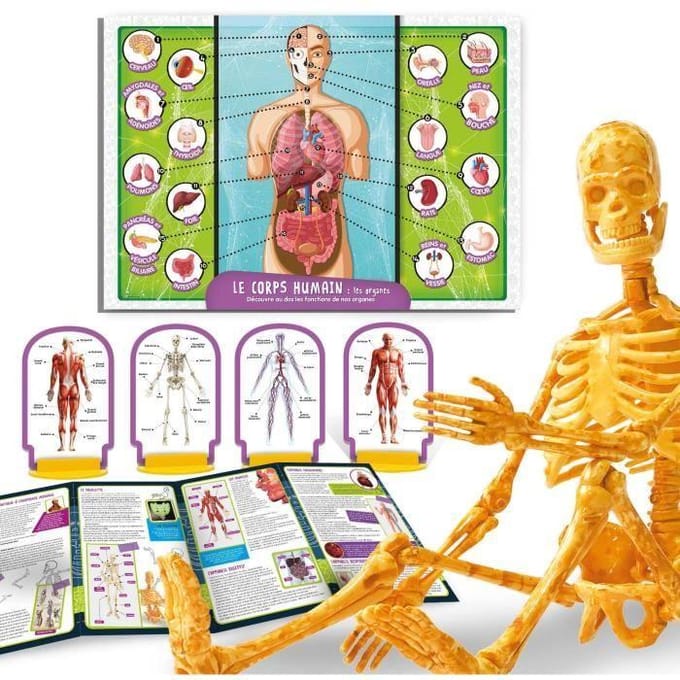 Lisciani - Science - pocket - a la decouverte du corps humain - Fr
