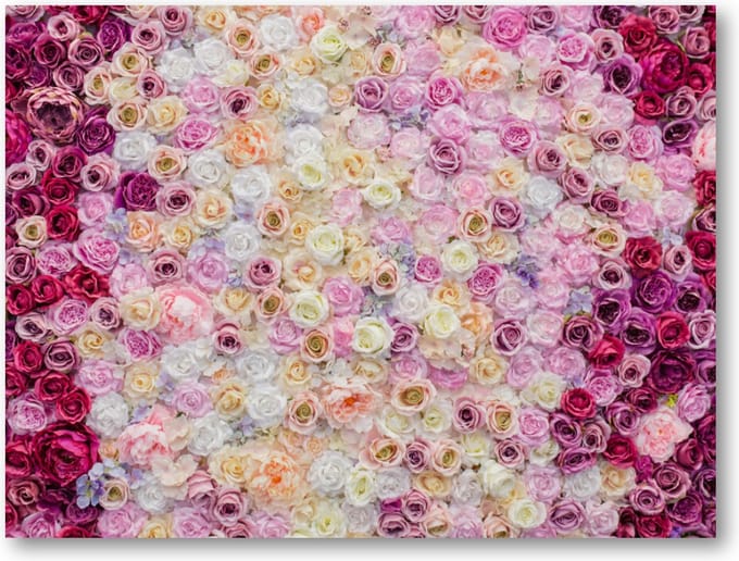 Rozenmix - 40x30 Canvas Liggend - Bloemen