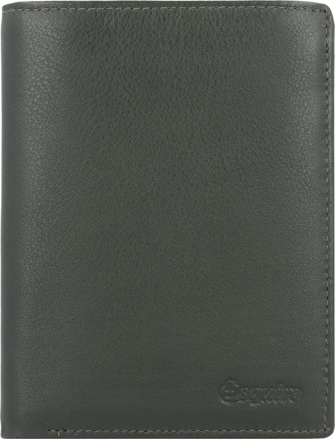 Esquire Viktoria Portemonnee RFID Leer 10 cm - Dames - Staand formaat - grün