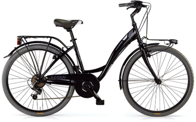 Mountainbiken Mbm Agora Steel