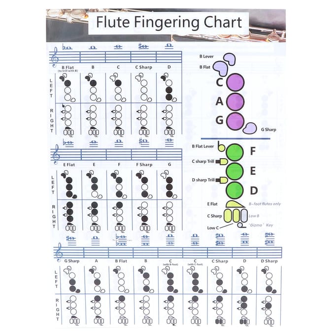 Fluit Vingerzetting Akkoorddiagram Beginner Student Oefening Lesmateriaal Instrument gray