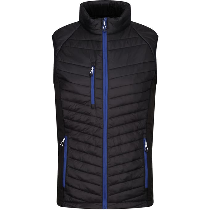 Regatta Heren Navigate Hybride Body Warmer (Zwart/Nieuw Royal)