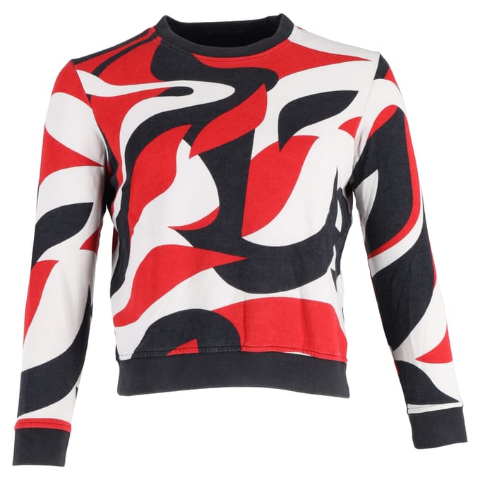 Alexander McQueen trui met print in veelkleurig katoen