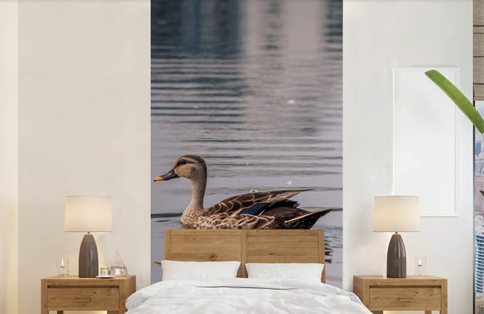 Behang - Fotobehang Eend - Water - Vogel - Bruin - Breedte 120 cm x hoogte 240 cm