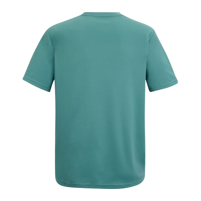 Regatta Heren Fingal Mountain Scene T-Shirt (Arctic)