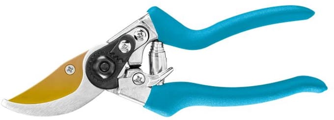 Cellfast BASIC Serie - Snoeischaar - Wrzmostigen - Titanium Coating - Ergonomische Handgrepen
